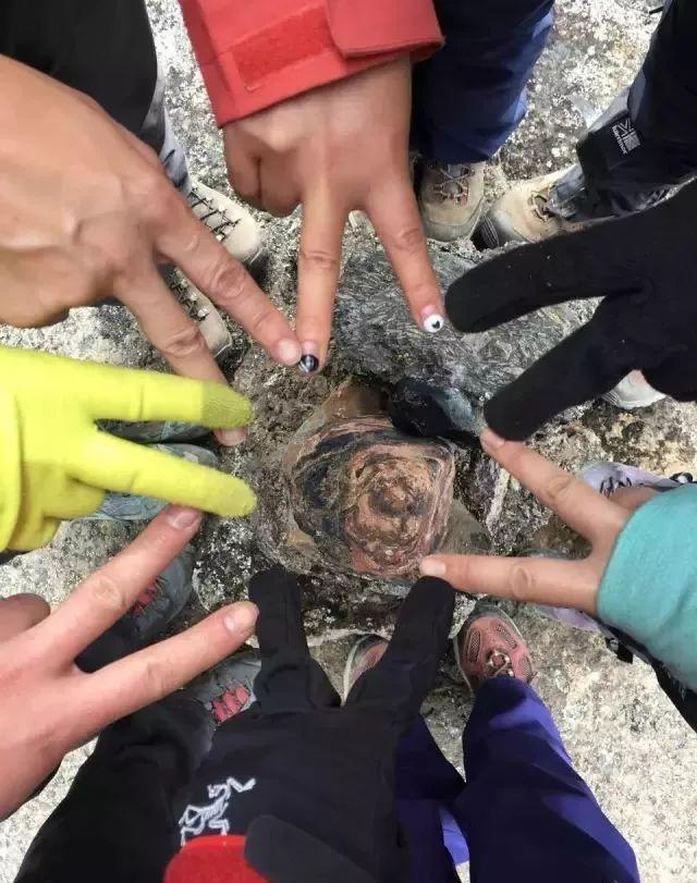 今晚开一码一肖,今晚开一码一肖，探寻幸运背后的秘密