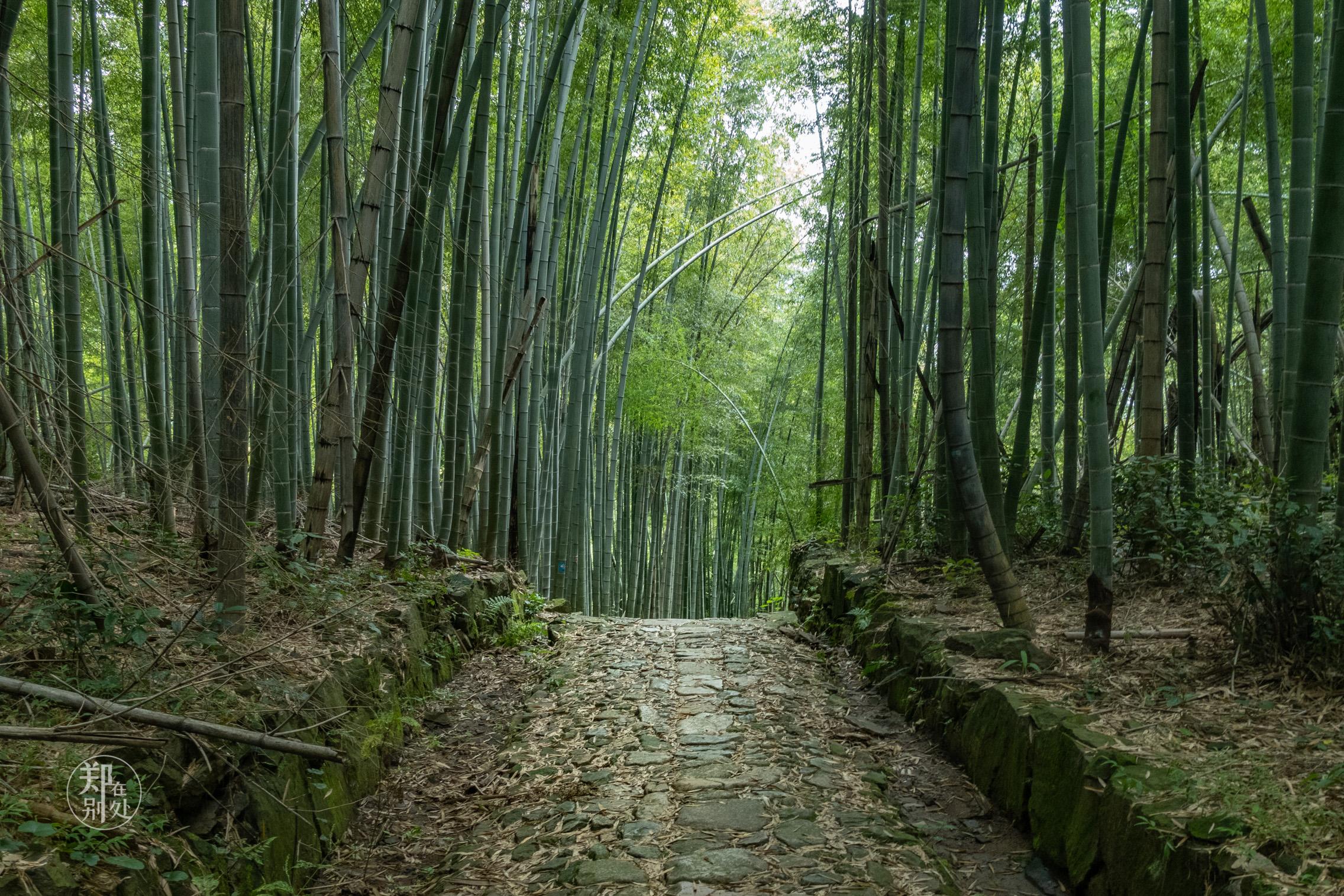 百科 第183页