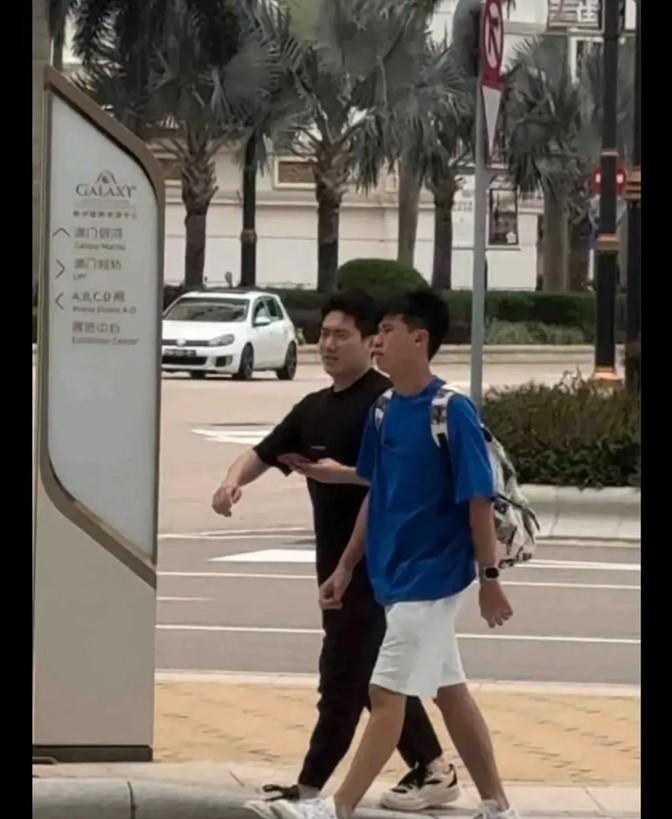新澳门今晚精准一肖,新澳门今晚精准一肖预测