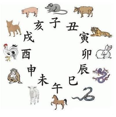 今晚澳门开什么生肖,今晚澳门开什么生肖，探索生肖与命运的神秘联系