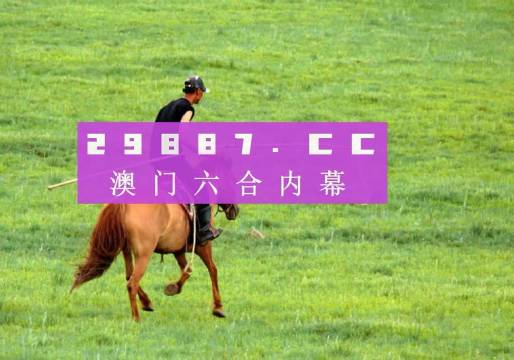 澳门精准一肖一码准确,澳门精准一肖一码准确，探索预测背后的秘密
