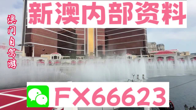 新澳内部资料精准一码,新澳内部资料精准一码，揭秘与探索