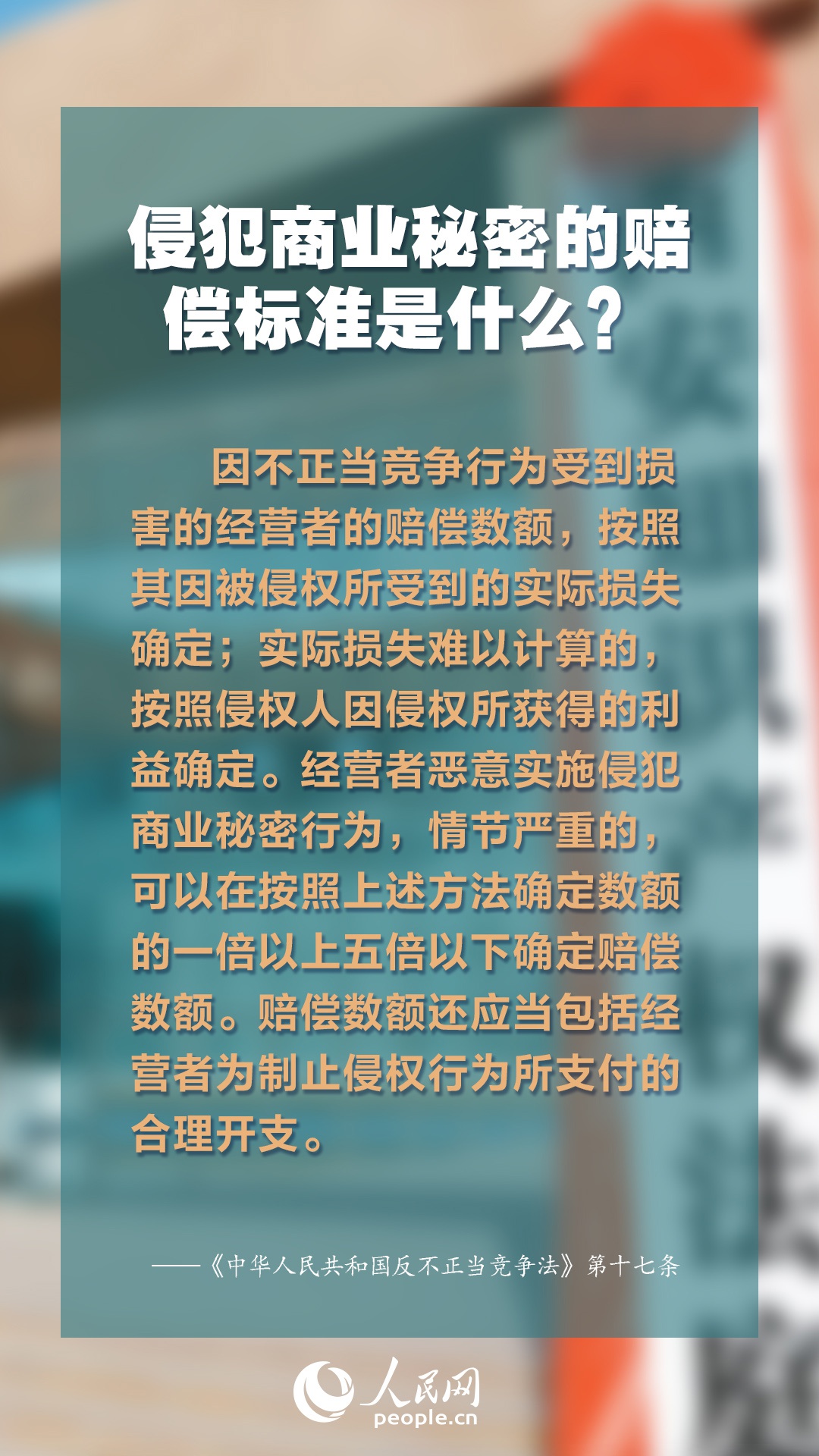 2025年正版资料免费大全最新版本更新时间,探索未来知识宝库，2025正版资料免费大全最新版本的更新之旅