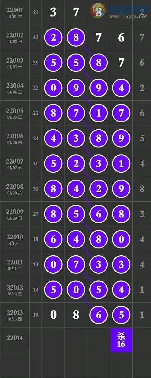 澳门王中王100精准数据解读,澳门王中王100精准数据解读，探索数据与命运的神秘交汇点