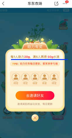 新奥门管家婆免费大全,新澳门管家婆免费大全——探索与体验