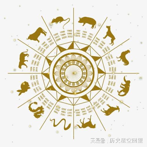 今晚买什么生肖最准确,今晚买什么生肖最准确，揭秘生肖预测的真相与选择智慧