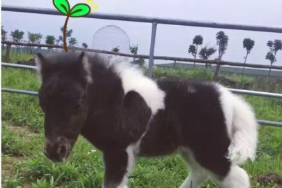 资讯 第115页