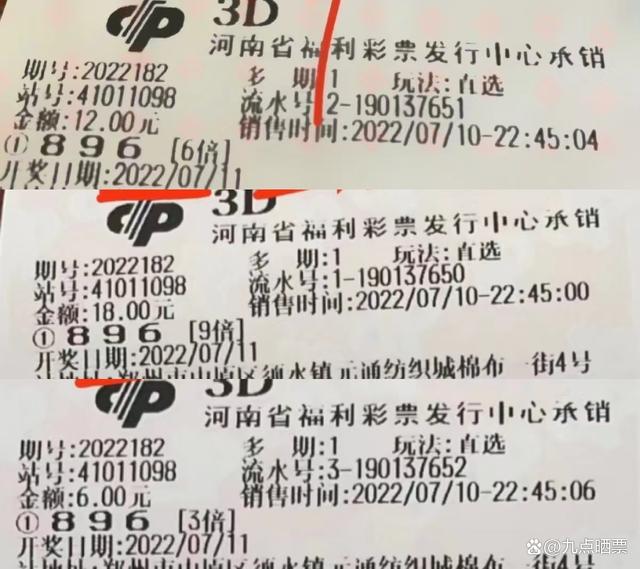 2025澳门正版免费码资料,澳门正版免费码资料与未来的彩票文化展望（2025年）