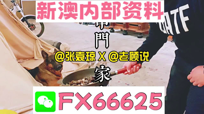 管家婆2023正版资料大全,管家婆2023正版资料大全，探索其价值与重要性