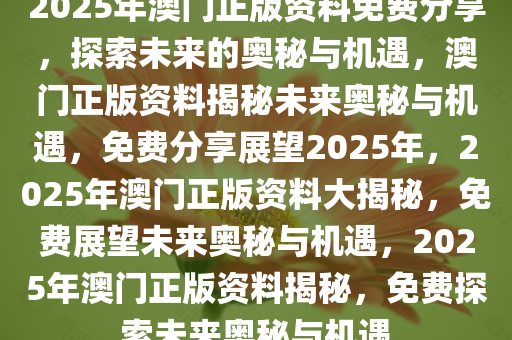 澳门2025正版资料免费看,澳门2025正版资料免费看，探索与发现