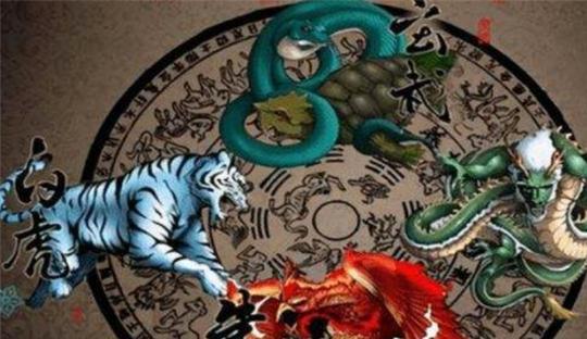 澳门白虎玄机精准玄武,澳门白虎玄机与玄武精准解析