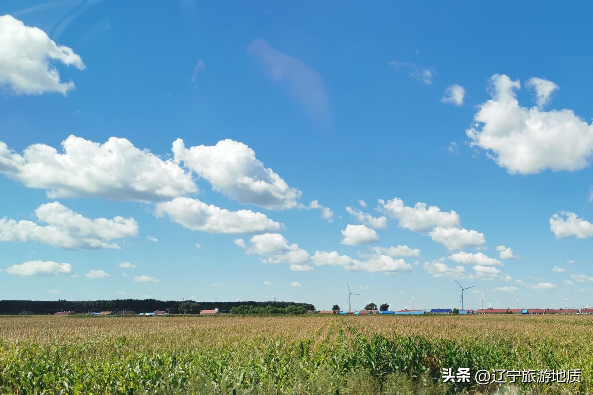 新澳门出今晚最准一肖,新澳门出今晚最准一肖——探索幸运之城的秘密