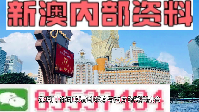 2025新澳最快最新资料,探索未来之路，2025新澳最快最新资料解析
