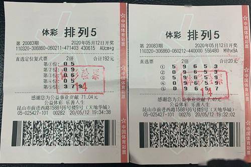 2025澳门天天开好彩正版资料大全,澳门正版资料大全，探索彩票世界的奥秘与期待