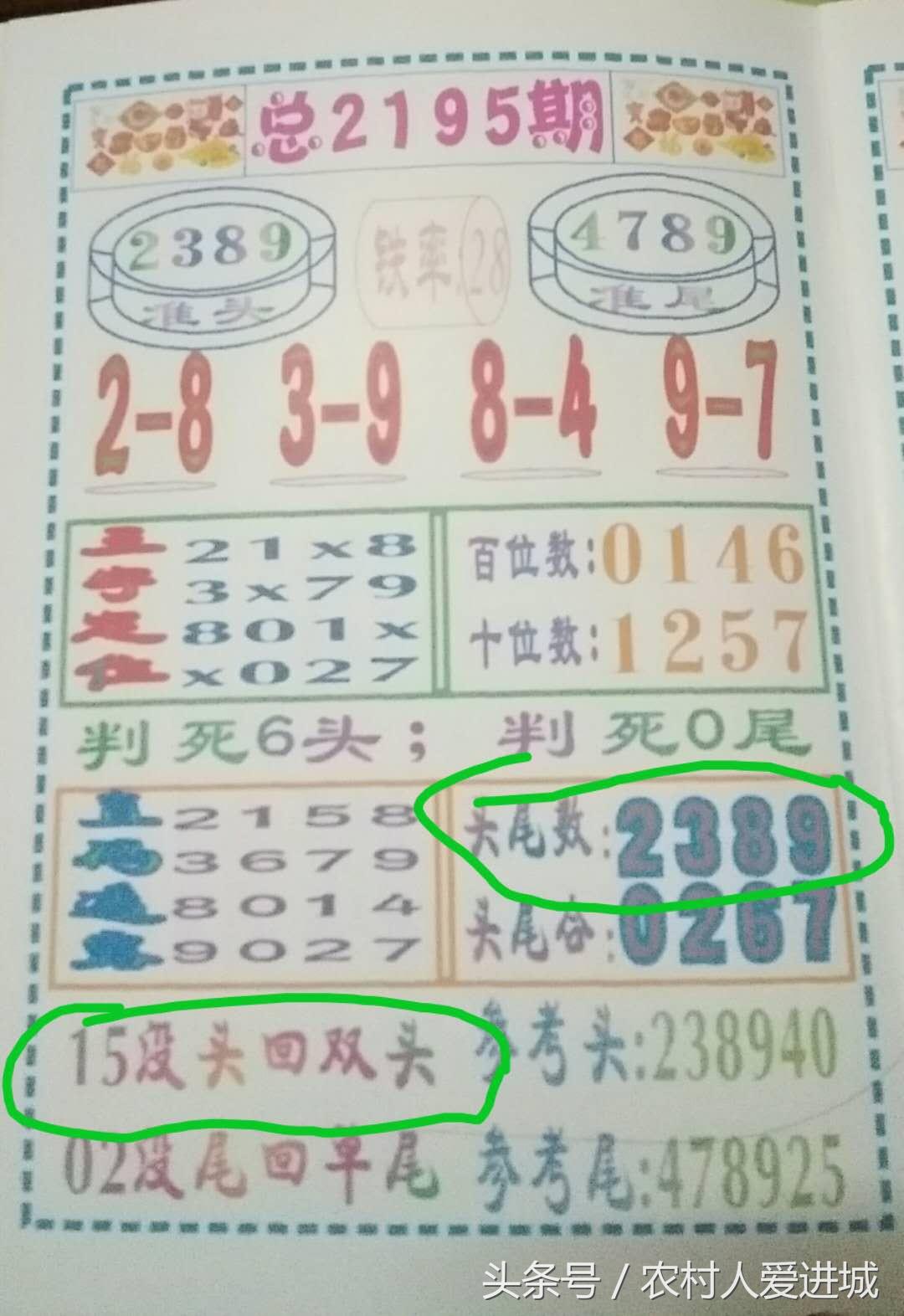 澳门精准资料期期精准每天更新,澳门精准资料期期精准每天更新，探索真实数据与预测的魅力