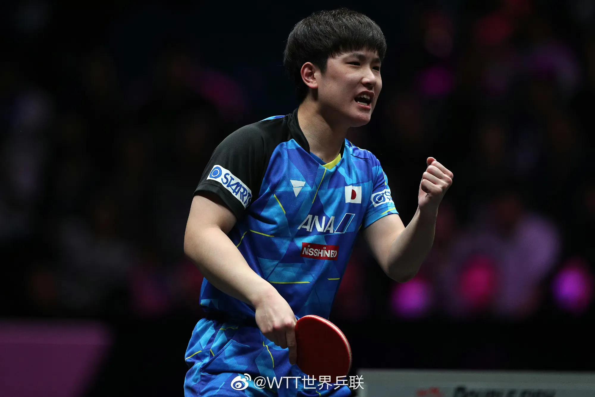 2023新澳门天天开好彩大全,揭秘澳门彩票，探索新澳门天天开好彩背后的奥秘（2023版）