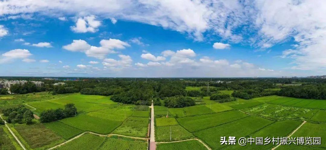 大地资源管理页一二三页,大地资源管理，一页、二页、三页的探索