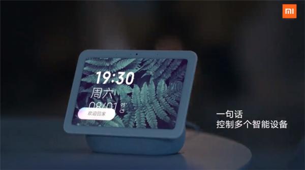 管家精准一码一肖,揭秘管家精准一码一肖，探索预测背后的秘密