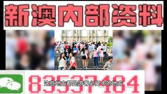 新澳精准资料期期精准24期,新澳精准资料期期精准，深度解析与前瞻性探讨