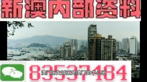 新澳门今天最新免费资料,新澳门今天最新免费资料，探索与发现之旅