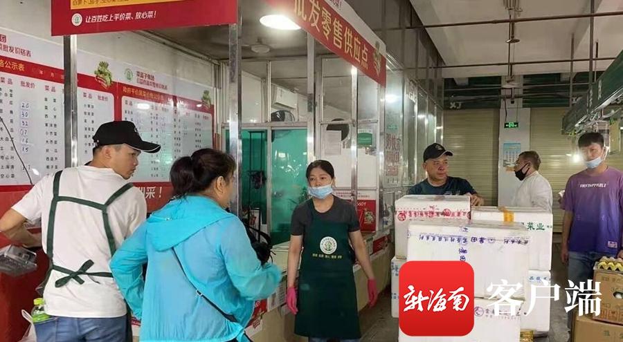 2025年正版免费资料大全最新版本,2025年正版免费资料大全最新版本，探索与获取