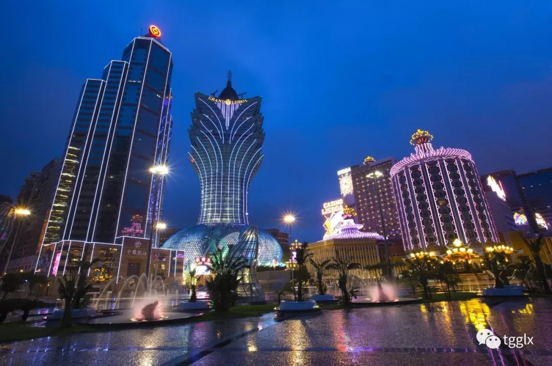 澳门天天资料出来吧,澳门天天资料探索与揭秘