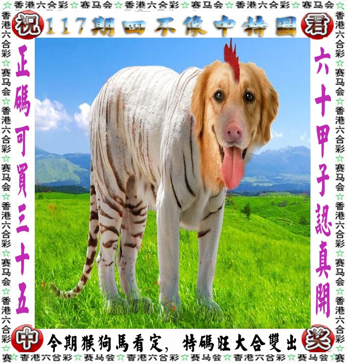 正版四不像资料生肖图,正版四不像资料生肖图，探寻神秘文化符号下的深层含义