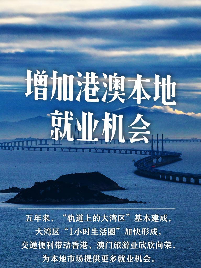 新澳门免费资料查巡,新澳门免费资料查巡，探索与发现